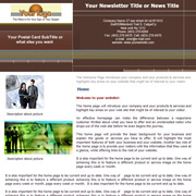 Business newsletter template