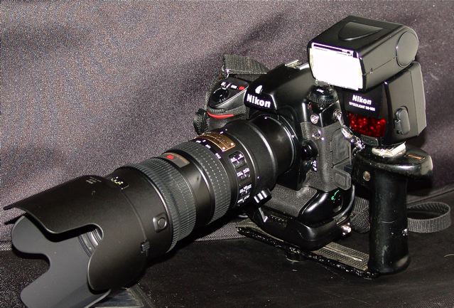 CAMERA Nikon D2Xs (12.4 MP). SB-800 and SB 600 Flash units
